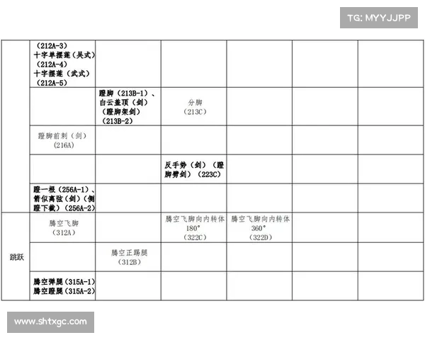 武术竞赛规则实施时间
