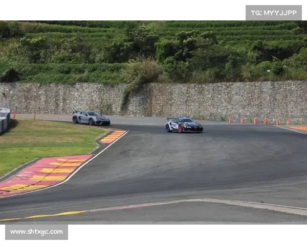 赛事专业化—专业赛道